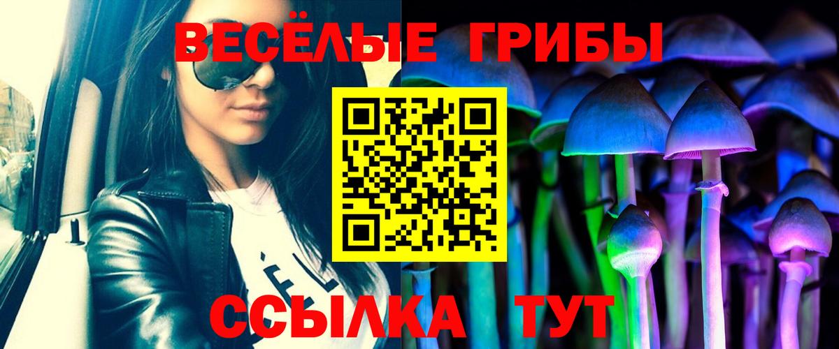 Псилоцибиновые грибы MAGIC MUSHROOMS  Вход с VPN  Феодосия 